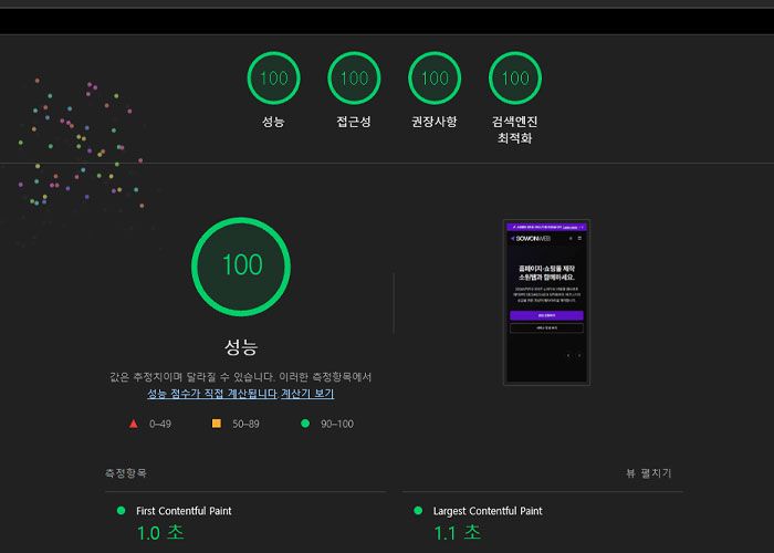 모바일 PageSpeed Insights, Lighthouse 100점