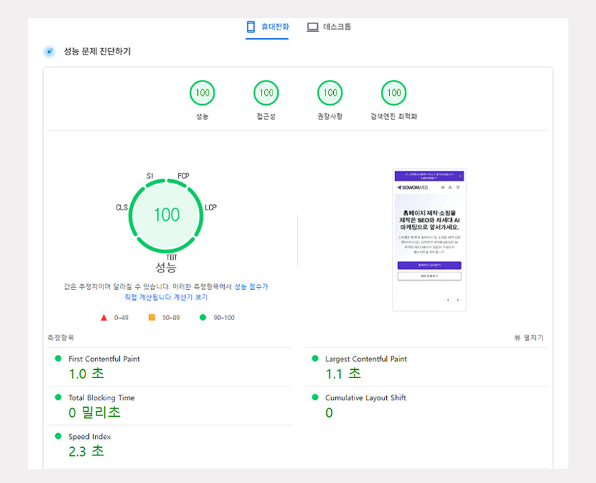 코어 웹 바이탈 100점 만점 캡처본